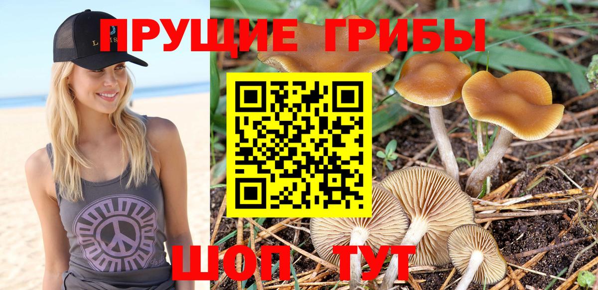 Галлюциногенные грибы ЛСД  Вход с VPN  Псилоцибиновые грибы Psilocybe  Великий Новгород 